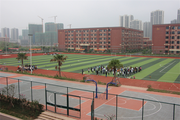 眉山衛(wèi)生職業(yè)學(xué)校足球場